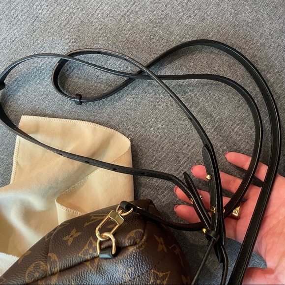 Louis Vuitton mini Palm Springs - Picture 9 of 15